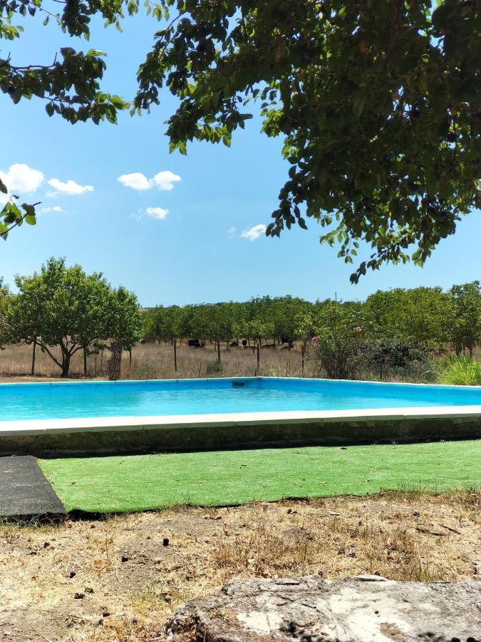 Rod Ranch Livestock - Appartamento Con Camino E Vista Piscina Campagnano Di Roma Exterior foto